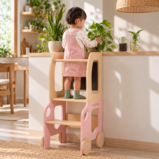 Montessori Learning Ladder